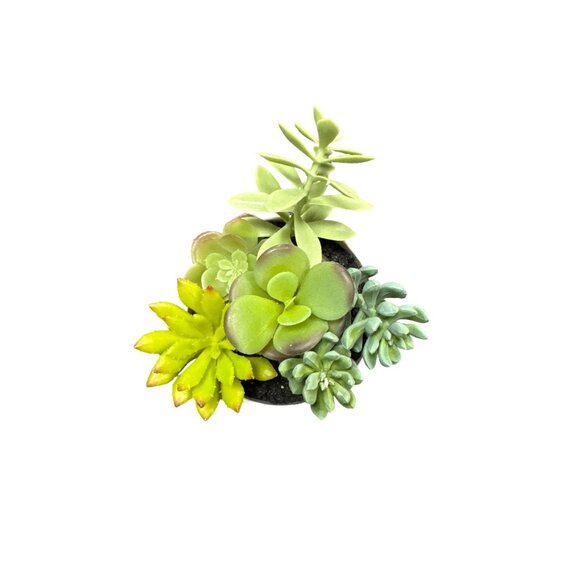 Threshold Artificial Succulent Plants In White Ceramic Pot For Home & Office Dec - Picture 2 of 3